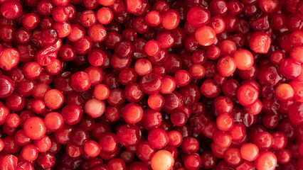 Cranberry,  Red sour fruit  There are many health benefits.