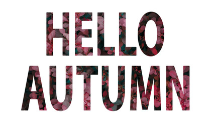 Hello autumn word written from fall background white isolated background. Top view, flat lay.