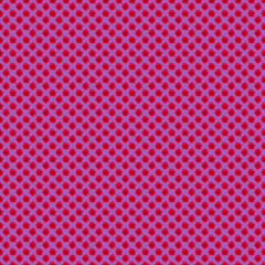 Red blooming rose. Background of flowers. Flower pattern. Flowers on a purple background.