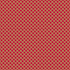 Red blooming rose. Background of flowers. Flower pattern.