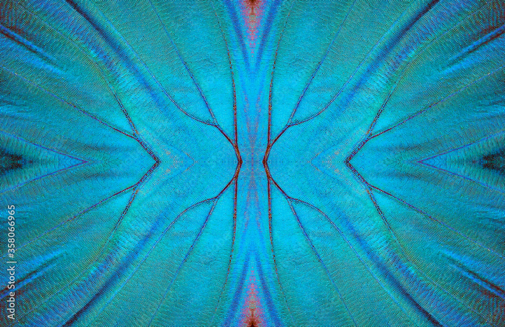 Poster blue abstract pattern. wings of a butterfly morpho texture background. morpho butterfly ornament
