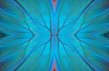 Blue abstract pattern. Wings of a butterfly Morpho texture background. Morpho butterfly ornament