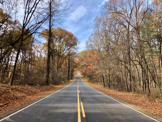 Fototapeta premium a beautiful road view at Skyline Drive, Virginia, USA.