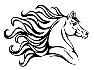 Black horse head on a white background