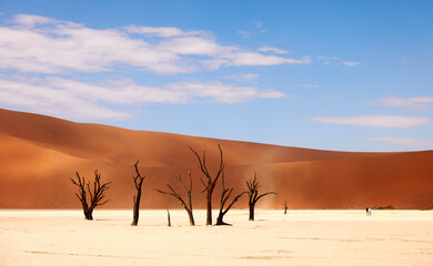 Namibian desert landscape