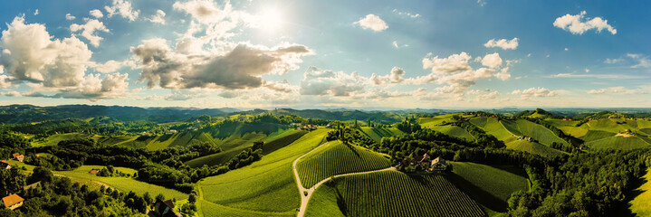 Vineyards panorama Leibnitz area famous destination wine street in south Styria in summer.