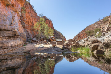 Fototapeta na wymiar Still water pound. Orange rock walls reflected on the water. Still and calm water. No people. No clouds. Clean landscape. Ormiston gorge, Macdonnell ranges, Northern Territory NT, Australia, Oceania