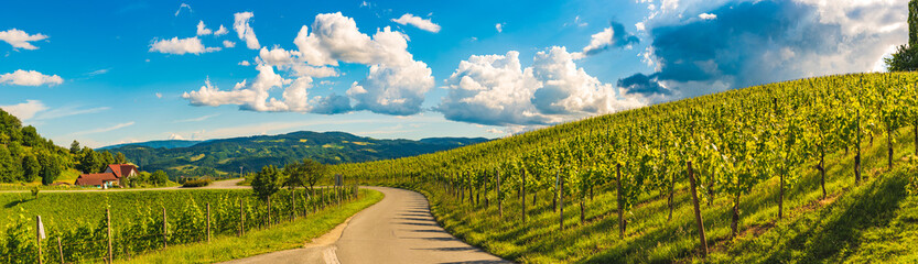 Fototapeta na wymiar Vineyards panorama Leibnitz area famous destination wine street in south Styria in summer.