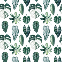 Tropical leaves watercolor seamless pattern with monstera deliciosa, castus, ficus lyrata, anthurium, alocasia, calathea. Exotic foliage texture for fabrics, wrapping paper, wallpapers, digital paper.