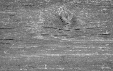 Old Wooden Shabby Colored Texture. Abstract Textured Background