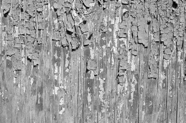 Old Wooden Shabby Colored Texture. Abstract Textured Background