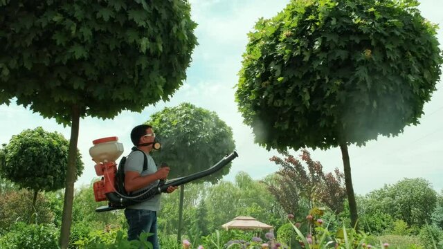 Spray Ecological Pesticide. Farmer Fumigate In Protective Mask And Glasses Trees And Bushes. Man Spraying Toxic Pesticides, Pesticide, Insecticides. Gardener Maintains A Garden
