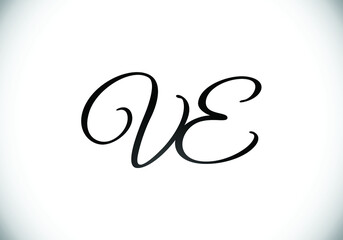 Initial Monogram Letter V E Logo Design Vector Template. V E Letter Logo Design