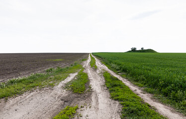 path near fresh grass and summer field against cloudy sky