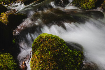 Vertical beautiful shot of a mountain river in summer, flowing in a cascade over rocks, stream close-up.