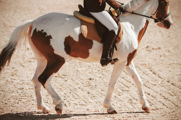 A mottled brown-and-white piebald horse with a rider in the saddle runs across the sand in the...