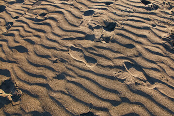 Sand texture with footprints close-up
