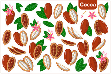 Set of vector cartoon illustrations with Cocoa exotic fruits, flowers and leaves isolated on white background