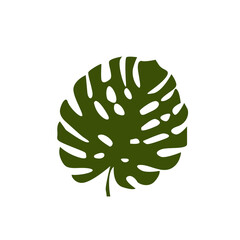 Palm leaf. Tropical leaves. List of monsters. Vector flat illustration, isolated objects on a white background.