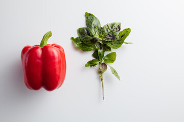 Basil and red paper on a white background. Minimum concept