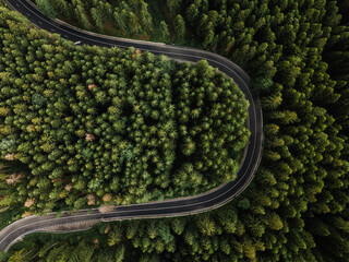 Aerial view of green summer forest road. Curved road from above.