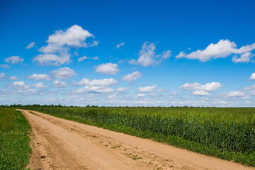 A rural road, crossing the field of ripening wheat against a clear blue sky.