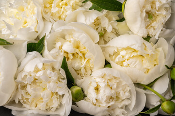 Obraz na płótnie Canvas Close up background of fresh bouquet of white peonies. Selective focus wedding flowers card concept