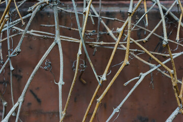 Natural blur pattern