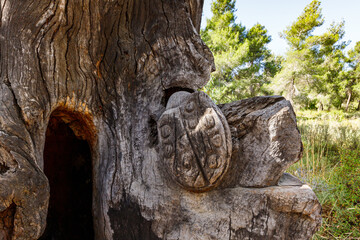 The remains of an old dry tree with a beetle carved on a trunk in the Totem park in the forest near the villages of Har Adar and Abu Ghosh