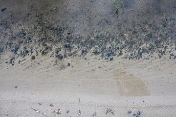 Background and texture of the shore line is clean water and sand