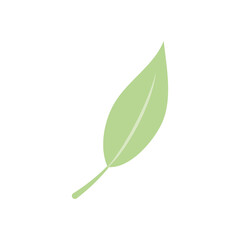 tropical leaf icon, flat style