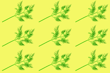pop art seamless pattern, beautiful fresh dill greens, concept of a healthy diet, snack, organic food, healthy eating