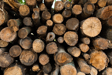 A pile of dry sawn trees. Firewood for the furnace or fireplace.