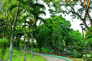 Chinese Garden inside Rizal Park in Manila, Philippines
