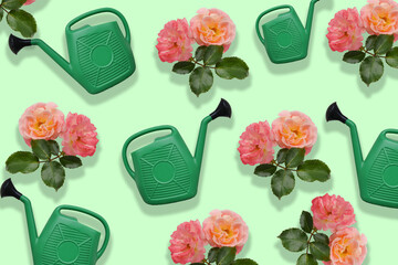 rose annaffiare primavera estate annaffiatoio pollice verde giardinaggio giardiniere 