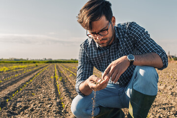 Young farmer in corn field examining soil quality. - obrazy, fototapety, plakaty