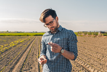 Young farmer in corn field examining soil quality.