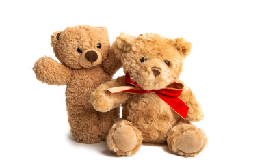 soft toy bear isolated