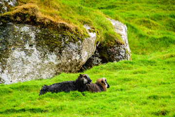 Faroe Island, Kingdom of Denmark