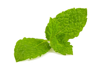 fresh mint isolated on white background
