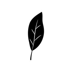 aspidistra leaf icon, silhouette style