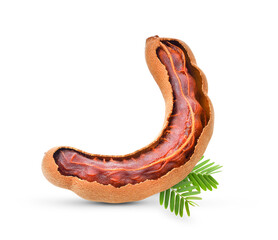 tamarind on white background . full depth of field