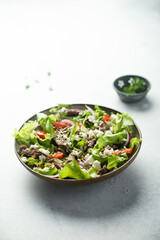 Green salad with beef steak and fresh cheese