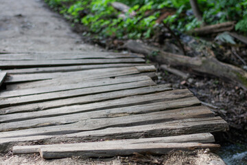 wooden bridge in the forest