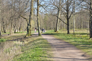 path in the park