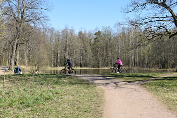 Fototapeta premium cycling in the forest