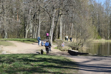Fototapeta premium walk in the park