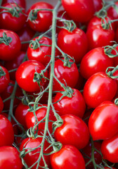 cherry tomato twigs in a paper box