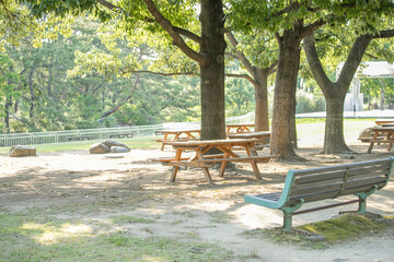 初夏の公園