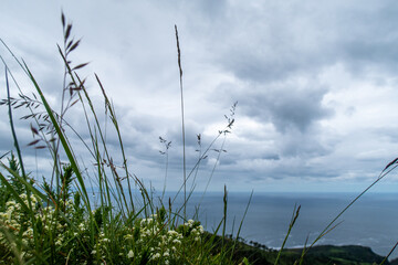 Vistas al mar desde la montaña, jaizkibel, país vasco